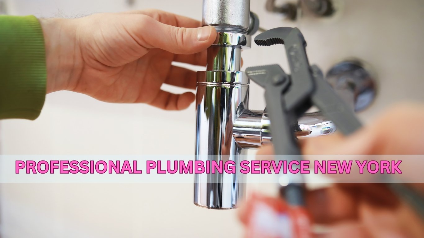 Professional Plumbing Service New York